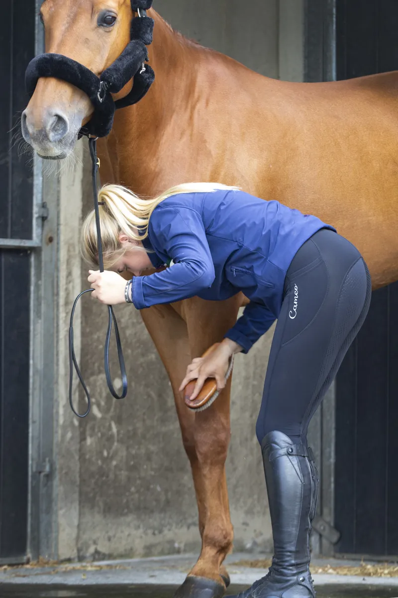 Cameo Ladies Performance Riding Tights Black-3